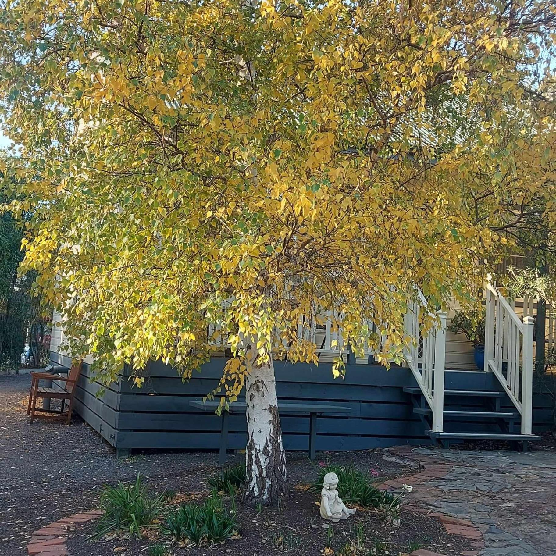 Avoca Cottages Victoria Luaran gambar
