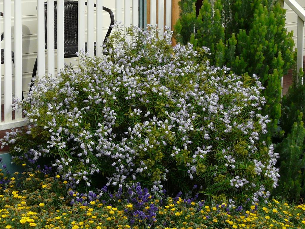 Avoca Cottages Victoria Luaran gambar